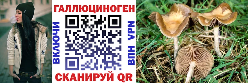 Галлюциногенные грибы прущие грибы  где продают   Заволжск 